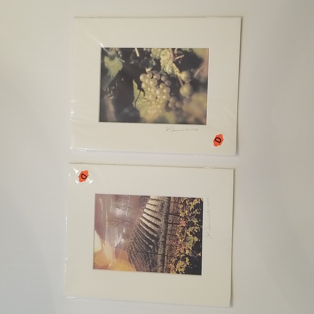 THE VINTAGE COLLECTION JOHN DIMAIO PHOTOS 1998 & 2000 PRINTS IN SEALED WRAPPER